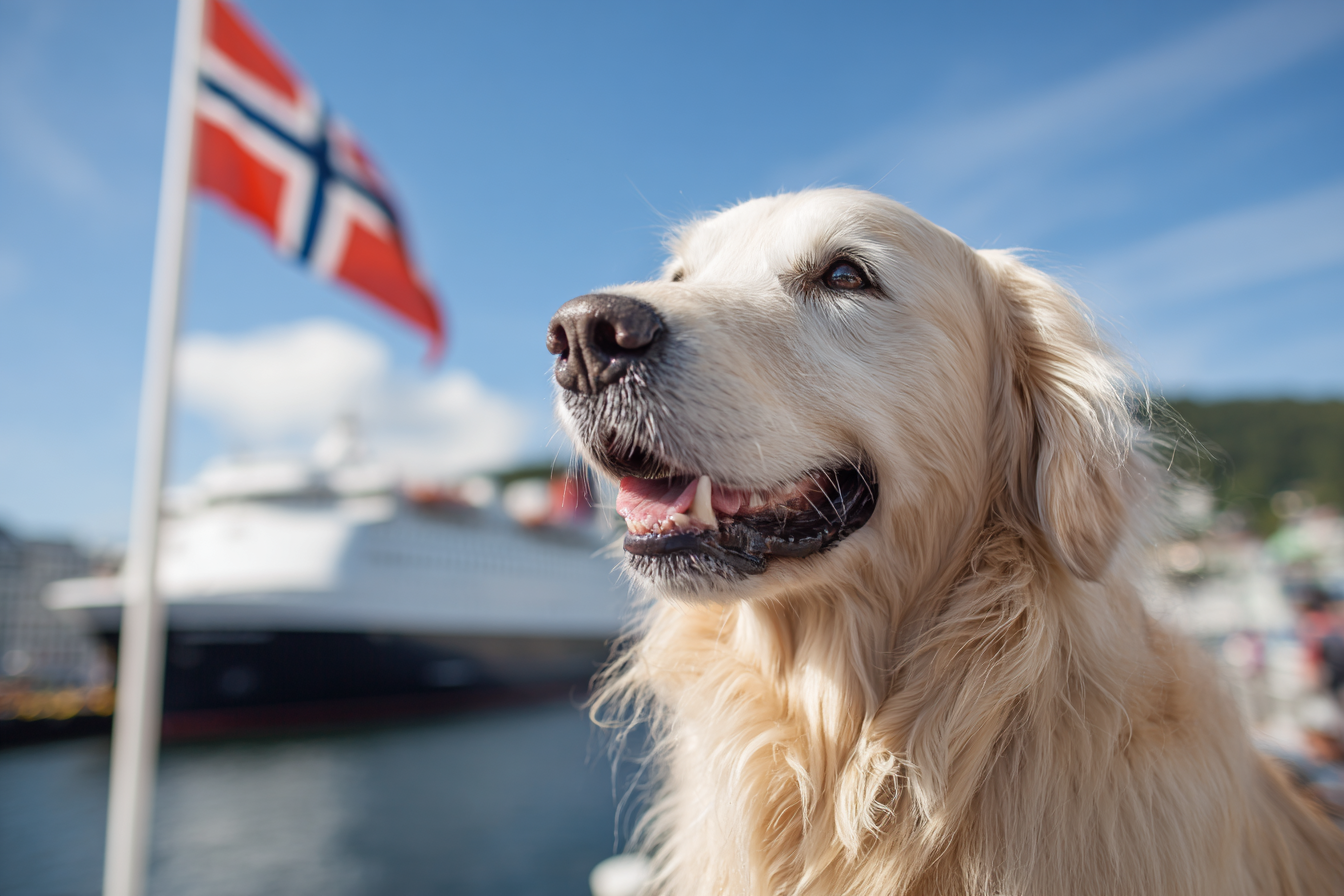 Mit dem Hund nach Norwegen